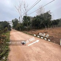 Bán Đất 100M2 Tại Xã Hướng Đạo, Tam Dương, Vĩnh Phúc, Gần Kcn Tam Dương Giá Chỉ 9Xxtr/M2