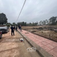 Bán Đất 100M2 Tại Xã Hướng Đạo, Tam Dương, Vĩnh Phúc, Gần Kcn Tam Dương Giá Chỉ 9Xxtr/M2