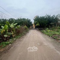 Bán 2 Lô Đất Cực Hiếmdiện Tích95M2. Đất Đấu Giá Thuỵ Phú - Nam Tiến- Phú Xuyên Hà Nội