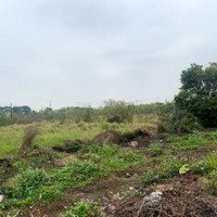 Bán 2 Lô Đất Cực Hiếmdiện Tích95M2. Đất Đấu Giá Thuỵ Phú - Nam Tiến- Phú Xuyên Hà Nội