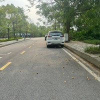 Bán Đất Nền 189M2 Khu Hải Long Trang ( Dragonpark) Tại Trung Tâm Thị Trấn Văn Giang, Hưng Yên