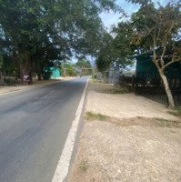 Chính Chủ Bán Đấtdiện Tích13000M2, Giá Tốt 8 Tỷ ,Tại Đt 713, Đoàn Kết, Đạ Huoai, Lâm Đồng