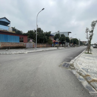 Bán Đất Nền Tại Happy Land Đông Anh, Giá Bán 3,55 Tỷ, Diện Tích 44,7 M2