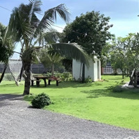 Rẻ Vô Địch, 1200M2, Sẵn Hơn 800M2 Thổ Cư, Đường Xe Tải Giá Siêu Ngợp