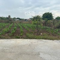 Bán 245M2 Đất Ở Lô Biệt Thự Ngay Kdc Đông Kín Xã Xuyên Mộc Huyện Xuyên Mộc Brvt Giá Tốt 870 Triệu