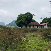 Cần Bán 4209M2 Cao Dương - Lương Sơn - Hoà Bình