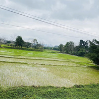 Cần Bán 4209M2 Cao Dương - Lương Sơn - Hoà Bình