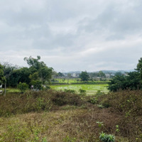 Cần Bán 4209M2 Cao Dương - Lương Sơn - Hoà Bình