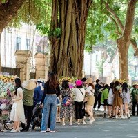 Cho Thuê Nhà Phố Cổ Flagship Cho Các Thương Hiệu Vip
