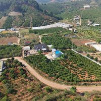 Chỉ 690 Triệu Có Gần 300M2 Đất Mê Linh, Sổ Hồng Riêng, Ven Đà Lạt