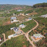 Chỉ 690 Triệu Có Gần 300M2 Đất Mê Linh, Sổ Hồng Riêng, Ven Đà Lạt