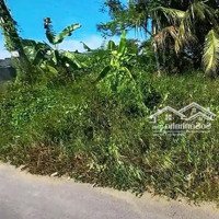 Ông Chú Bán Đất Ở Quê Để Kd, 86M2, Full Thổ, Shr, Nguyễn Thái Học, Cái Bè, Tiền Giang, Giá Đẹp
