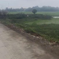 Bán 2 Lô Đất Liền Kề Cực Đẹp. Mặt Đường Liên Tỉnh 479, Gia Lâm, Nho Quan, Ninh Bình. Gía 1.15 Tỷ