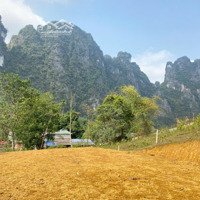 Hàng Nghỉ Dưỡng Giá Rẻ Còn Lại Lô Duy Nhất Chỉ Hơn 1 Triệu/M2 Nhanh Tay Sở Hữu Em Nó Ngay Ạ