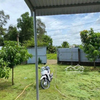 Mua Đất Tặng Nhà Siêu Yêu Thương. Nhà Vườn Sau Lưng Coop Mart Đồng Xoài 345 Triệu