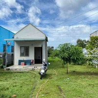 Mua Đất Tặng Nhà Siêu Yêu Thương. Nhà Vườn Sau Lưng Coop Mart Đồng Xoài 345 Triệu