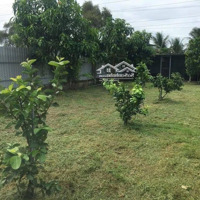 Mua Đất Tặng Nhà Siêu Yêu Thương. Nhà Vườn Sau Lưng Coop Mart Đồng Xoài 345 Triệu