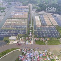 Lô Đất 227.5M2 View Sông Phù Long Ô Tô Đỗ Cửa, Tiềm Năng Tăng Giá Cao