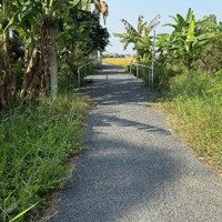 Bán Đất Tại Đường 873B, Tp Gò Công, Tiền Giang, Giá Bán 550 Triệu, Diện Tích 175M2