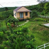 Chỉ Từ 1 Tỷ 750 Triệu Nhận Nhà Ở Ngay Hoặc Cho Thuê Homestay Giá Tốt Còn Thương Lượng