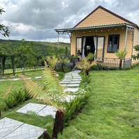 Chỉ Từ 1 Tỷ 750 Triệu Nhận Nhà Ở Ngay Hoặc Cho Thuê Homestay Giá Tốt Còn Thương Lượng