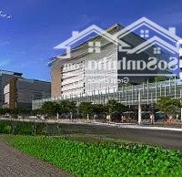 Bán Nhà Mặt Phố Lê Hoàn 4 Phòng Ngủ 4 Vệ Sinh Diện Tích: 480M2 Giá Đầu Tư 3,4 Tỷ (50%)Hòa Phú, Thủ Dầu Một, Bình Dương
