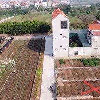 Chính Chủ Bán 106M2 Đất Sẵn Sổ Giá Tốt Tại Vĩnh Lộc-Thường Tín