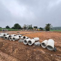 Chính Chủ Cần Bán Gấp 2 Lô Đất Đẹp, Ở Ngay Lõi Thị Trấn Kim Tân, 94M2Mặt Tiền7M4 Sâu 13,4M