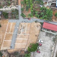 Duy Nhất 1 Lô 60M2 Tại Trung Tâm Xã Ninh Sơn Tp Thủy Nguyên Cách Đường Liên Tỉnh 352 1Km, Giá 295 Triệu