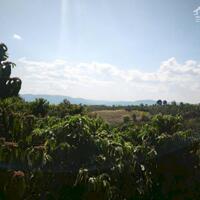 ĐẤT VIEW SÔNG ĐỒNG NAI MẶT ĐƯỜNG BÊ TÔNG