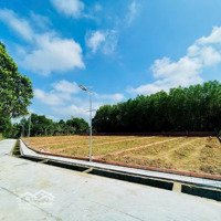Đẹp, Gần Lộ, Mát Mẽ, Sạch Sẽ Chỉ 4Xx Tr