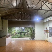 Cho Thuê Nhà Tại Khu Đô Thị Muzin -Tiên Kiên - Lâm Thao - Phú Thọ (Cách Trường Đại Học Cn 50M).