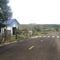 Đất Nền Homestay Bảo Lộc Ngay Đồi Chè Tân Châu Vị Trí Vip Liên Hệ Em Để Biết Thêm Thông 0987097056