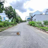 Đất Đẹp Bán Gấp Mtđ.nguyễn An Ninh,P.4,Vị Thanh-Hậu Giang. 550 Triệu/130M2/Shr.đối Diện Tỉnh Uỷ Hg
