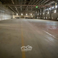 Cho Thuê Xưởng Ngoài Kcn Tân Phú Trung, Củ Chi , Kv: 18.000M2, Xưởng : 6.000M2 - 8.000M2