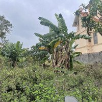 Hot! Hàng Hiếm Tại Kđt Anh Dũng 5, 5,6 Tỷ, 300M2, Dương Kinh, Hải Phòng. Liên Hệ 0528758888