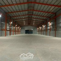 Giảm Cực Sốc,Giá Đầu Tư, Kho Xưởng Mới Ql1A, An Phú Đông, Q12.Diện Tích1700.8M Thổ Cư, Đct 6Tỷ3/Năm.