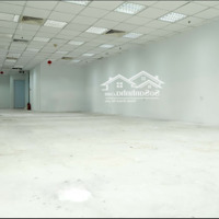 Văn Phòng Xịn - Giá Siêu Rẻ - Đoạn Đẹp Trần Hưng Đạo Quận 1