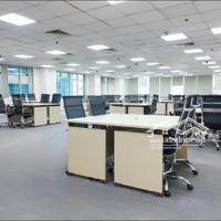 Văn Phòng Xịn - Giá Siêu Rẻ - Đoạn Đẹp Trần Hưng Đạo Quận 1