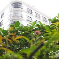 Căn Hộ Cao Cấp 2Pn 1 Vệ Sinh Full Nội Thất,Ck Lên Đến 5,8%_Nhà Sẵn Mua Ở Liền