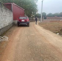 Bán Gấp 1200M2 Đất Tại Thanh Sơn Ngay Ủy Ban Xã Minh Phú Thích Hợp Đầu Tư, Làm Nhà Vườn