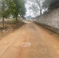 Bán Gấp 1200M2 Đất Tại Thanh Sơn Ngay Ủy Ban Xã Minh Phú Thích Hợp Đầu Tư, Làm Nhà Vườn