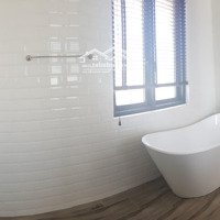 Bán Gấp Biệt Thự Tại Coastar Estates, 9,5 Tỷ, 823M2