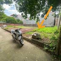 Chủ Cần Tiền Xả Lỗ Lô Đất 48M Phú Bến, Thụy Hương, Phân Lô, Ô Tô Đỗ Cửa Giá Quá Rẻ