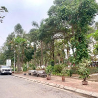 View Công Viên, Lê Hồng Phong, Lê Quang Đạo, Từ Sơn: 87M2 Gia Đình Cần Bán Lô Đất View Công Viên