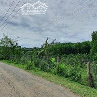 Bán Vườn Bưởi Full Thổ Cư Ngay Ngã 3 Nước Nhĩ Khánh Phú