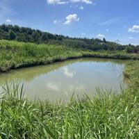 ĐẤT VƯỜN TÂN VĂN VIEW TOÀN BỘ THỊ TRẤN ĐINH VĂN, ĐỨC TRỌNG
