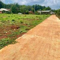 Giá quá rẻ. Hơn 1200m2 đất vườn huyện Đồng Phú sau KCN Bắc Đồng Phú giá 195tr