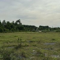 Bán Đất 6500M2 Tại Xã Đại Sơn, Đô Lương, Nghệ An, Giá Cực Chất 1 Triệu / M2