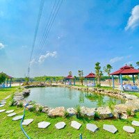 Phát Hiện Mỏ Vàng Mới, Đất Nền Kđt Alana City Nằm Liền Kề Cụm Kcn Cao Visip 2, Chỉ 980 Triệu /1 Nền
